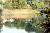 Japnese Park Pond